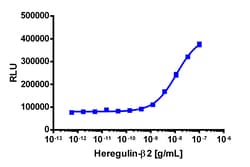 Eurofins Discoverx&nbsp;PathHunter eXpress ErbB4/ErbB4 Dimerization Assay, 10pl Kit. (93-0961E3CP5L)