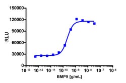 Eurofins Discoverx&nbsp;PathHunter eXpress ACVRL1/BMPR2 Dimerization Assay, 2pl Kit. (93-0962E3CP22M)