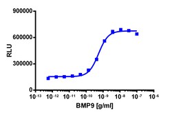 Eurofins Discoverx&nbsp;PathHunter eXpress ACVRL1/ACVR2 Dimerization Assay, 10pl Kit. (93-0963E3CP0L)