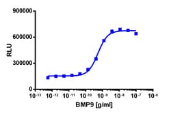 Eurofins Discoverx&nbsp;PathHunter eXpress ACVRL1/ACVR2 Dimerization Assay, 2pl Kit. (93-0963E3CP0M)