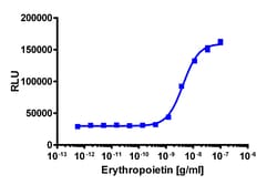Eurofins Discoverx&nbsp;PathHunter eXpress EpoR/EpoR Dimerization Assay, 2-Plate Kit. (93-0965E3CP0M)