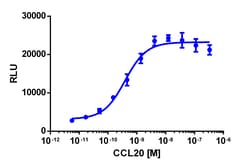 Eurofins Discoverx PathHunter CCR6 Activated GPCR Internalization U2OS