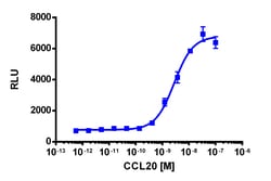 Eurofins Discoverx PathHunter eXpress CCR6 Activated GPCR Internalization