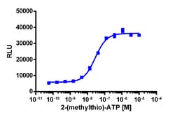 Eurofins Discoverx&nbsp;PathHunter P2RY1 Activated GPCR Internalization U2OS Cell Line, 2 vials. (93-0967C3)
