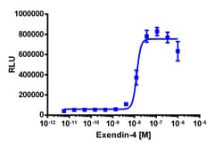 Eurofins Discoverx&nbsp;PathHunter CHO-K1 mGLP1R β-Arrestin-1 Cell Line, 2 vials. (93-0974C2)