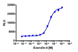 Eurofins Discoverx&nbsp;PathHunter eXpress mGLP1R CHO-K1 β-Arrestin-1 GPCR Assay, 10pl Kit. (93-0974E2MCP2L)