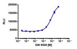 Eurofins Discoverx&nbsp;PathHunter CHO-K1 GPR120S (Short Isoform) β-Arrestin-1 Cell Line, 2 vials. (93-0978C2)