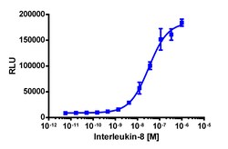 Eurofins Discoverx&nbsp;PathHunter HEK 293 cyno CXCR1 β-Arrestin Cell Line, 2 vials. (93-0980C1)