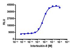 Eurofins Discoverx&nbsp;PathHunter eXpress cyno CXCR1 HEK 293 β-Arrestin GPCR Assay, 10pl Kit. (93-0980E1CCP0L)