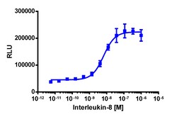 Eurofins Discoverx&nbsp;PathHunter HEK 293 cyno CXCR2 β-Arrestin Cell Line, 2 vials. (93-0981C1)