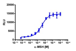 Eurofins Discoverx PathHunter U2OS MC3R β-Arrestin Cell Line, 2 vials.