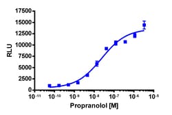 Eurofins Discoverx PathHunter U2OS ADRB2(W158A) ENDO-EA Pharmacotrafficking