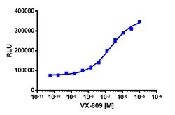 Eurofins Discoverx PathHunter U2OS CFTR-ΔF508 MEM-EA Pharmacotrafficking
