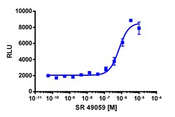 Eurofins Discoverx PathHunter U2OS AVPR2(S167T) ENDO-EA Pharmacotrafficking