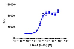 Eurofins Discoverx&nbsp;PathHunter U2OS IFNRL1/IL10RB Dimerization Cell Line, 2 vials. (93-0993C3)