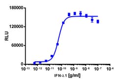 Eurofins Discoverx&nbsp;PathHunter eXpress IFNRL1/IL10RB Dimerization Assay, 10pl Kit. (93-0993E3CP5L)