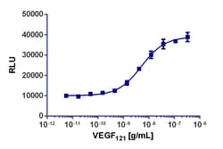 Eurofins Discoverx&nbsp;PathHunter eXpress KDR/KDR Dimerization Assay, 2-Plate Kit. (93-0996E1CP0M)