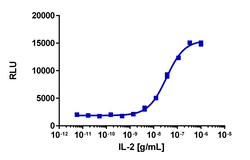 Eurofins Discoverx&nbsp;PathHunter eXpress IL2RB/IL2RG Dimerization Assay, 10pl Kit. (93-0998E3CP5L)