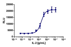 Eurofins Discoverx PathHunter U2OS IL2RB/IL2RG/IL2RA Dimerization Cell