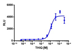 Eurofins Discoverx PathHunter U2OS MC4R(T162I) ENDO-EA Pharmacotrafficking