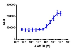 Eurofins Discoverx&nbsp;PathHunter CHO-K1 FFAR2 β-Arrestin Cell Line, 2 vials. (93-1005C2)