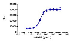 Eurofins Discoverx&nbsp;PathHunter eXpress rhTrkA-rhP75 Functional Assay, 10pl Kit. (93-1009E3CP16L)