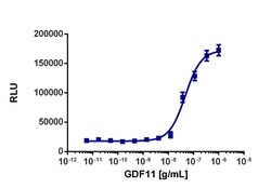 Eurofins Discoverx&nbsp;PathHunter U2OS TGFBR1A/ACVR2A Dimerization Cell Line, 2 vials. (93-1012C3)