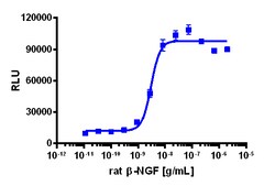 Eurofins Discoverx&nbsp;PathHunter eXpress rTrkA-rP75 Functional Assay, 2-Plate Kit. (93-1014E3CP16M)