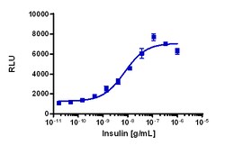 Eurofins Discoverx&nbsp;PathHunter eXpress mINSRa Functional Assay, 10-Plate Kit. (93-1015E3CP16L)