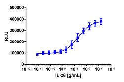 Eurofins Discoverx&nbsp;PathHunter eXpress IL20RA/IL10RB Dimerization Assay, 10pl Kit. (93-1020E3CP0L)