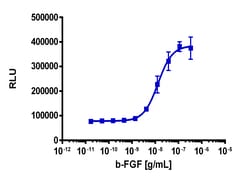 Eurofins Discoverx&nbsp;PathHunter eXpress FGFR4 Functional Assay, 2-Plate Kit. (93-1022E3CP16M)