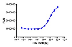 Eurofins Discoverx&nbsp;PathHunter CHO-K1 cyno GPR120 β-Arrestin Cell Line, 2 vials. (93-1029C2)