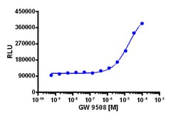 Eurofins Discoverx PathHunter eXpress cyno GPR120 CHO-K1 β-Arrestin GPCR