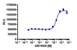 Eurofins Discoverx&nbsp;PathHunter CHO-K1 rGPR120 β-Arrestin Cell Line, 2 vials. (93-1031C2)