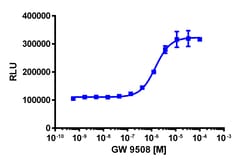 Eurofins Discoverx&nbsp;PathHunter eXpress rGPR120 CHO-K1 β-Arrestin GPCR Assay, 10pl Kit. (93-1031E2RCP0L)