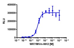Eurofins Discoverx PathHunter eXpress mFPR2 CHO-K1 β-Arrestin GPCR Assay,