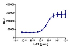 Eurofins Discoverx&nbsp;PathHunter U2OS IL21R/IL2RG Dimerization Cell Line, 2 vials. (93-1035C3)