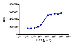 Eurofins Discoverx&nbsp;PathHunter eXpress IL21R/IL2RG Dimerization Assay, 2pl Kit. (93-1035E3CP0M)