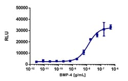 Eurofins Discoverx&nbsp;PathHunter U2OS BMPR1A/ACVR2A Dimerization Cell Line, 2 vials. (93-1037C3)