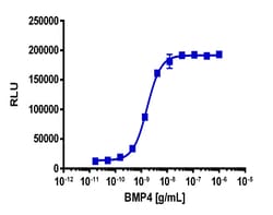 Eurofins Discoverx PathHunter eXpress BMPR1A/ACVR2 Dimerization Assay,