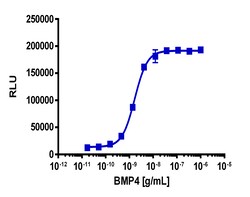 Eurofins Discoverx&nbsp;PathHunter eXpress BMPR1A/ACVR2 Dimerization Assay, 2pl Kit. (93-1037E3CP5M)