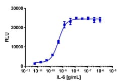 Eurofins Discoverx&nbsp;PathHunter U2OS IL6RA/IL6ST Dimerization Cell Line, 2 vials. (93-1045C3)
