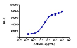 Eurofins Discoverx&nbsp;PathHunter eXpress ACVR1C/ACVR2B Dimerization Assay, 10pl Kit. (93-1047E3CP5L)