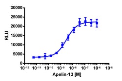 Eurofins Discoverx&nbsp;PathHunter CHO-K1 AGTRL1 β-Arrestin-1 Cell Line, 2 vials. (93-1050C2)
