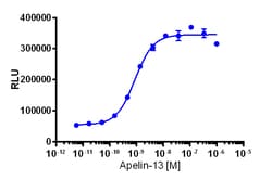 Eurofins Discoverx&nbsp;PathHunter eXpress AGTRL1 CHO-K1 β-Arrestin-1 GPCR Assay, 2pl Kit. (93-1050E2CP2M)