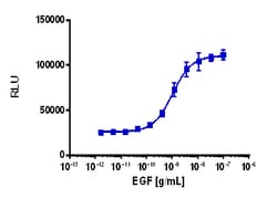 Eurofins Discoverx&nbsp;PathHunter eXpress EGFR/ErbB2 Dimerization Assay, 10pl Kit. (93-1051E3CP14L)