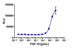 Eurofins Discoverx&nbsp;PathHunter U2OS FGFR3/FGFR3 Dimerization Cell Line, 2 vials. (93-1055C3)