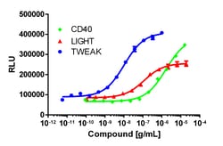 Eurofins Discoverx&nbsp;PathHunter U2OS NIK Signaling Assay, 2 vials. (93-1059C3)