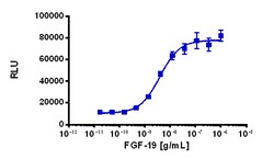 Eurofins Discoverx PathHunter eXpress FGFR4-β-Klotho Functional Assay,