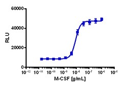 Eurofins Discoverx&nbsp;PathHunter eXpress CSF1R/CSF1R Dimerization Assay, 10pl Kit. (93-1061E3CP5L)
